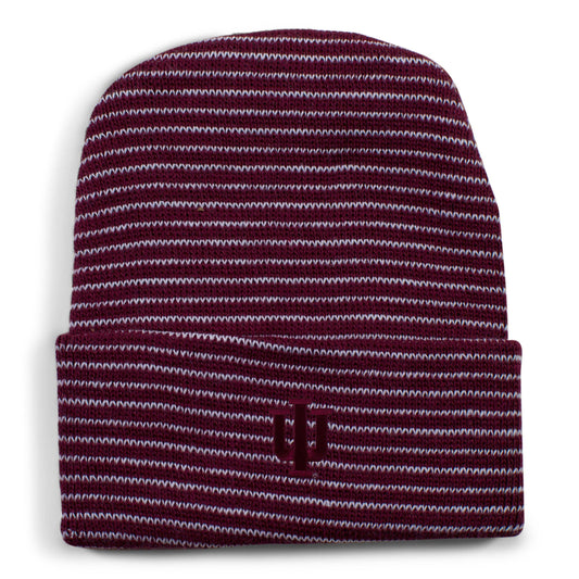 TFA  Indiana Stripe Knit Cap