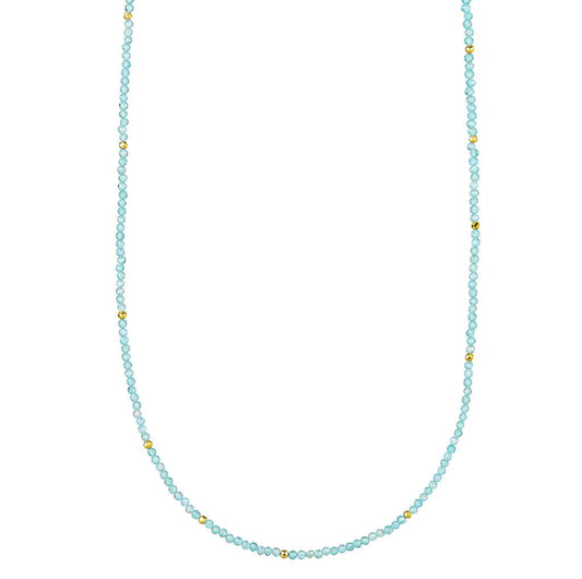 EBass Amazonite Apatite Beaded Necklace w/ Gold Accents