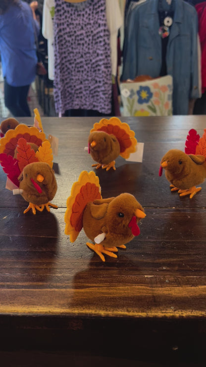 Wind Up Turkey Toy