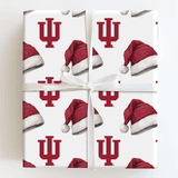 Aspen & Arlo Wrapping Paper