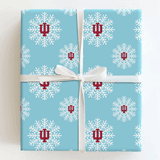 Aspen & Arlo Wrapping Paper