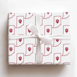 Aspen & Arlo Wrapping Paper