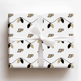 Aspen & Arlo Wrapping Paper