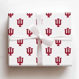 Aspen & Arlo Wrapping Paper